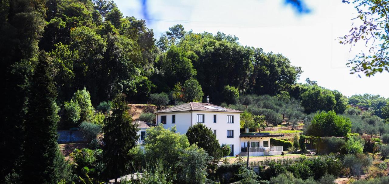 Agriturismo Terra Volonteri Montecatini Terme Exteriér fotografie
