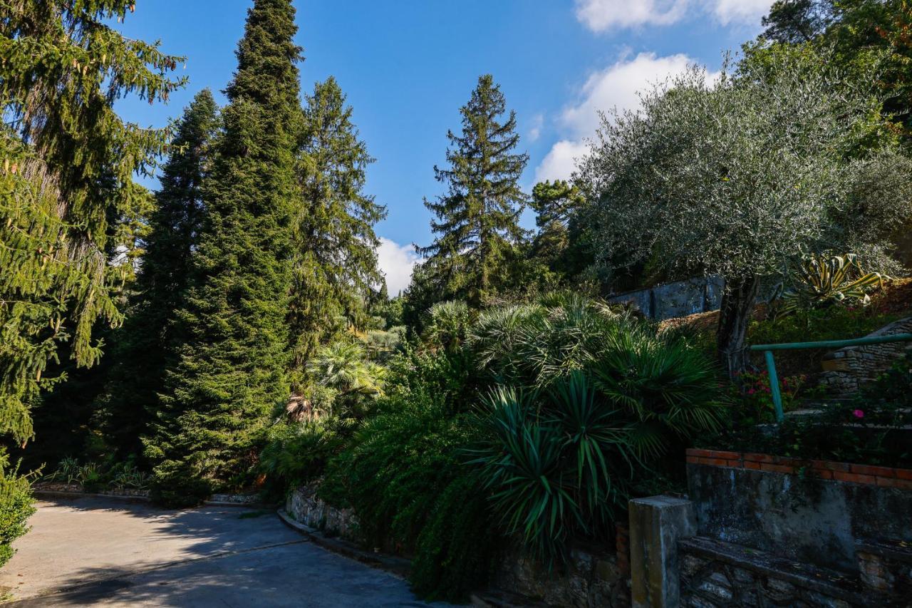 Agriturismo Terra Volonteri Montecatini Terme Exteriér fotografie