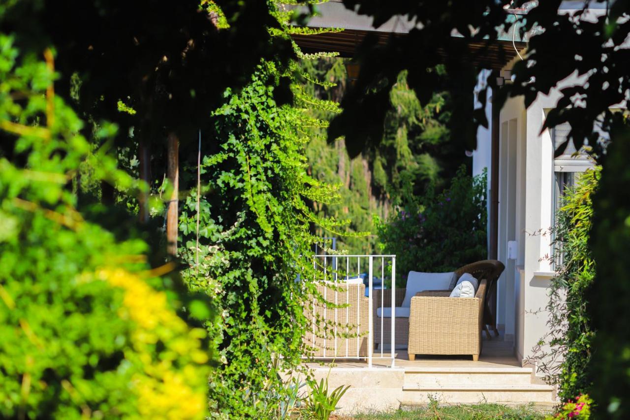 Agriturismo Terra Volonteri Montecatini Terme Exteriér fotografie