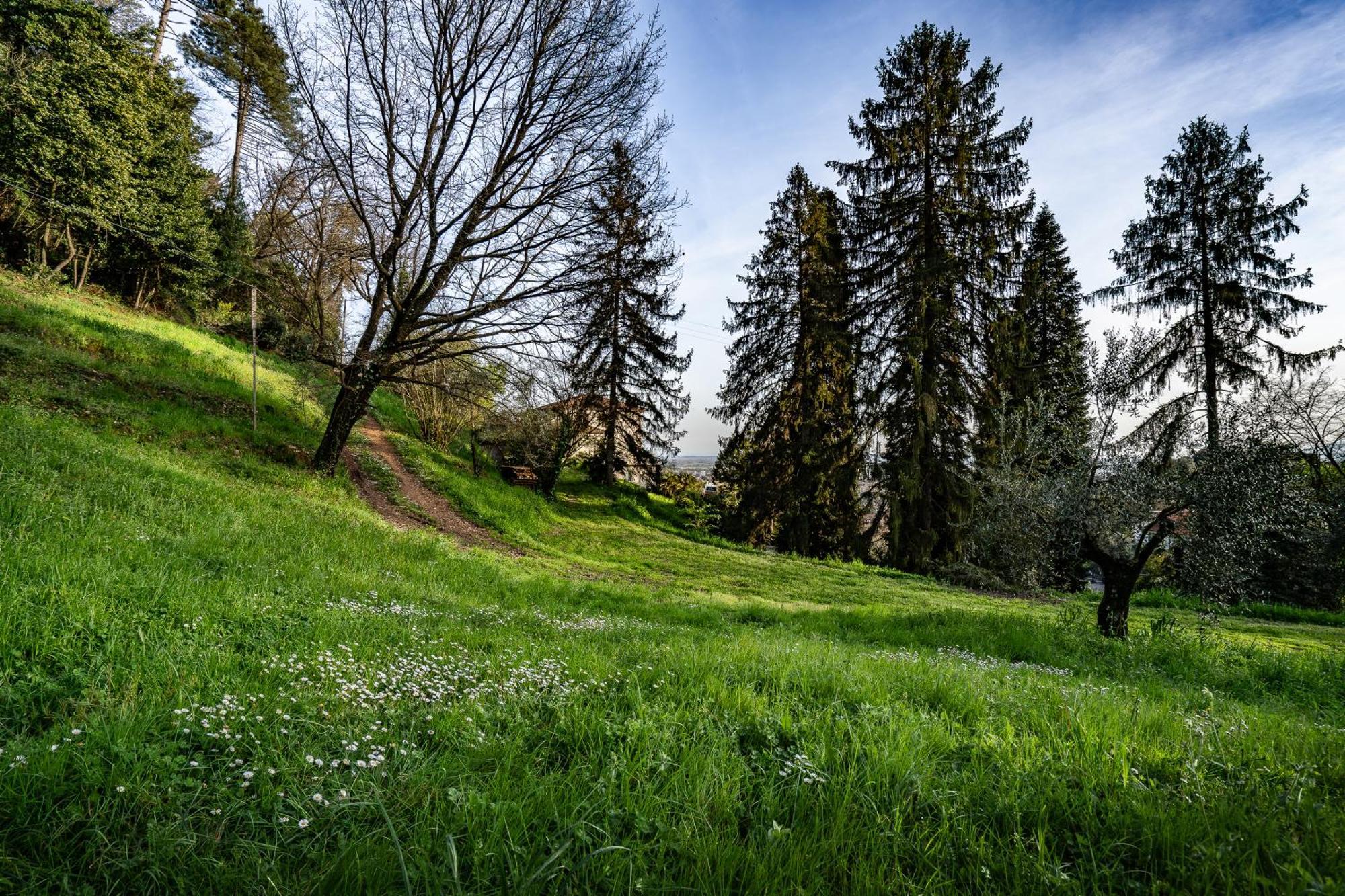 Agriturismo Terra Volonteri Montecatini Terme Exteriér fotografie